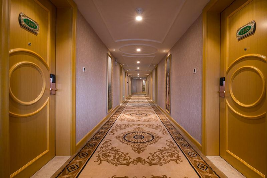 Vienna Hotel (Shenzhen Luofang) 28/37