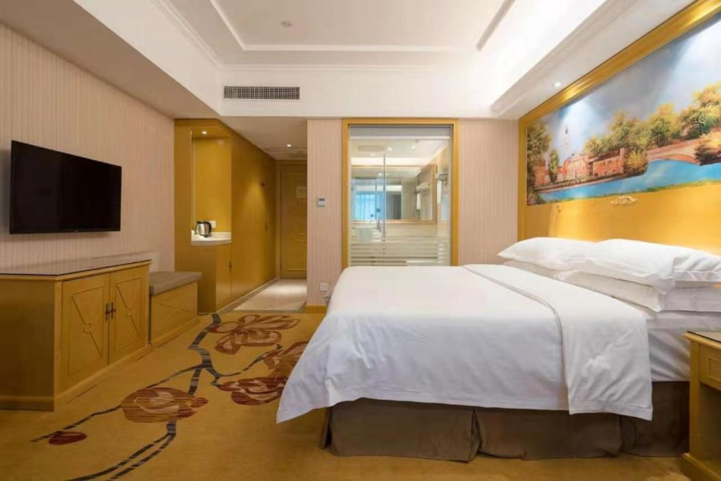 Vienna Hotel (Shenzhen Luofang) 19/37