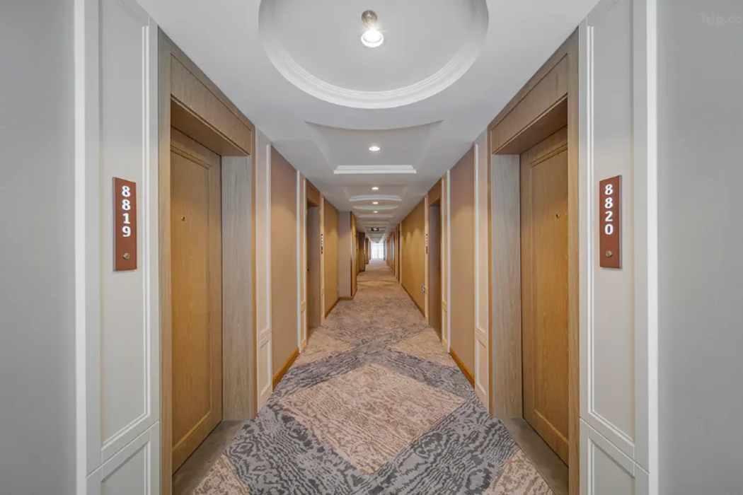 Vienna Hotel (Shenzhen Shuanglong Metro Station Longdong) 29/41