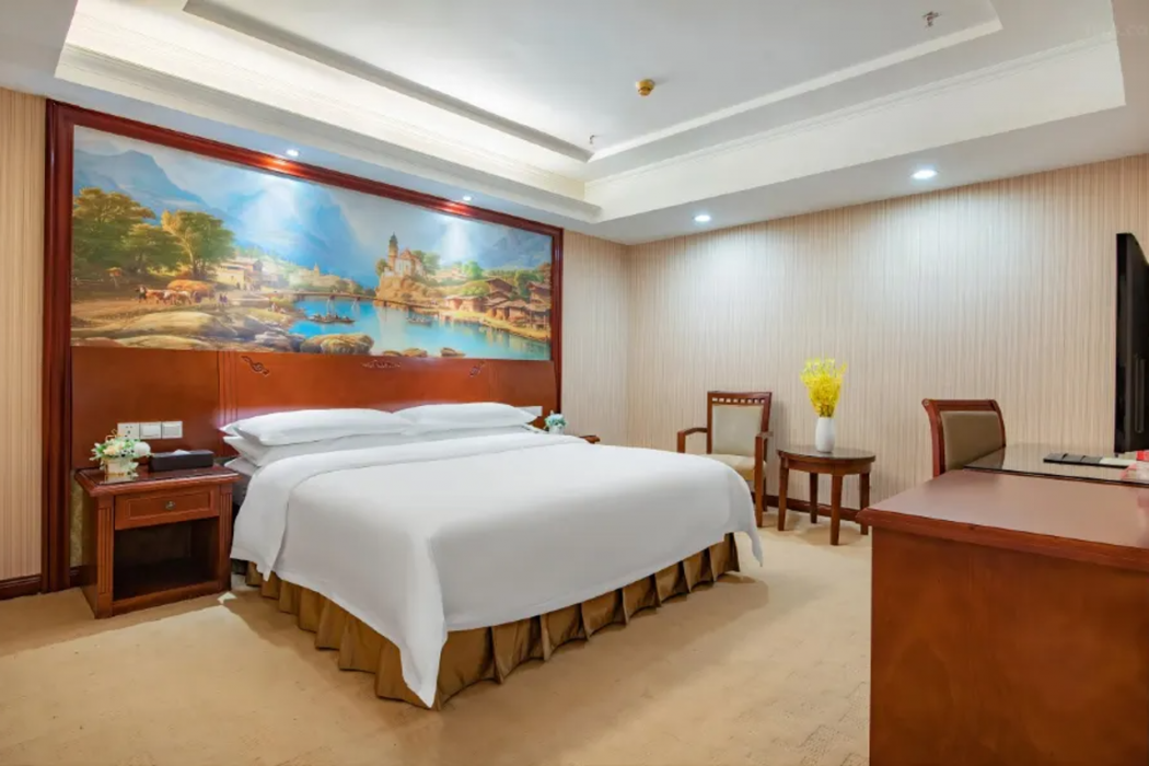 Vienna Hotel (Shenzhen Shuanglong Metro Station Longdong) 21/41