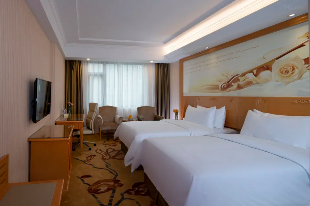 Vienna Hotel (Shenzhen Taoyuanju) 26/59