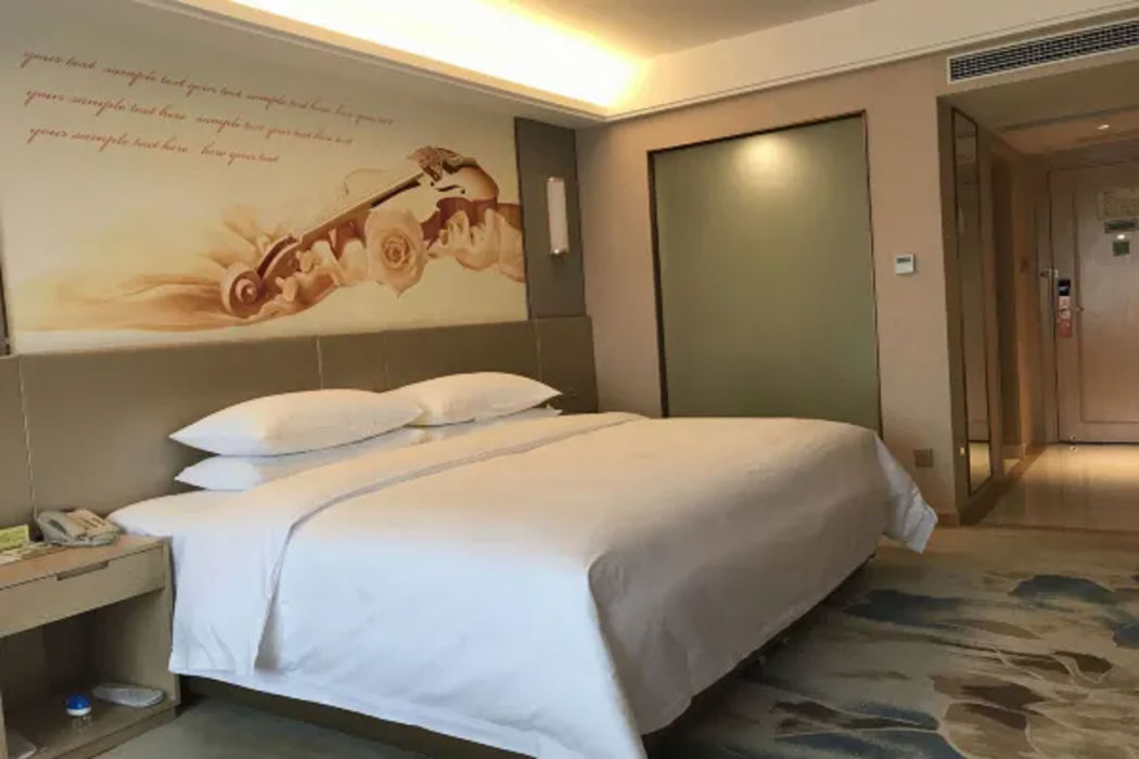 Vienna Hotel (Xinjin Old Pier, Liujianian Metro Station) 18/63