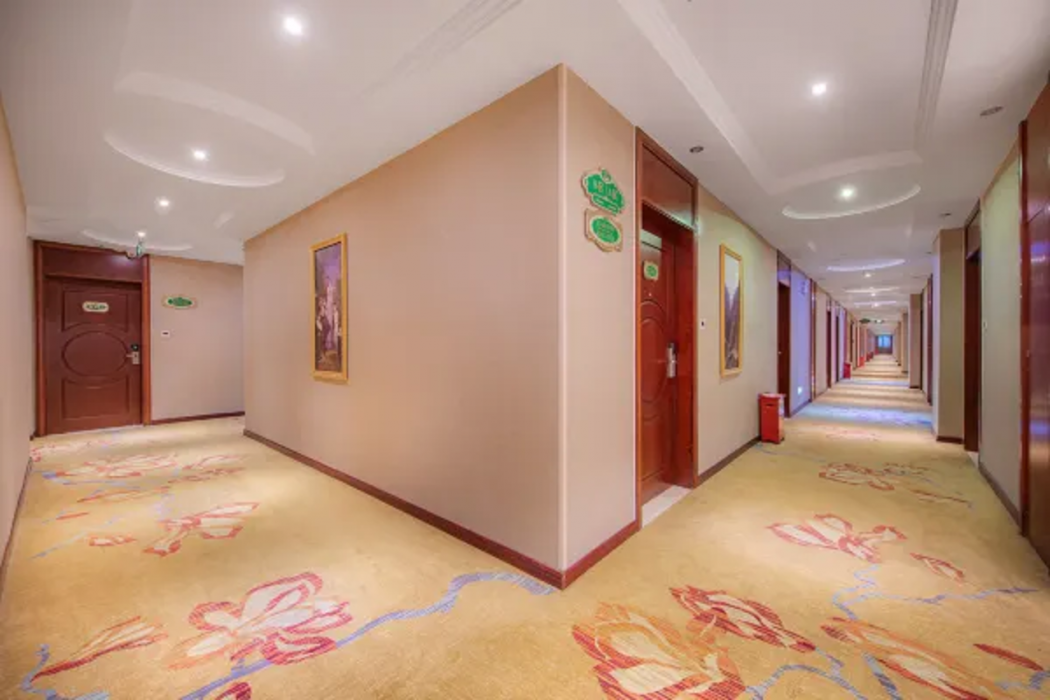 Vienna Hotel(Guangzhou Baiyun International Airport Branch) 14/17