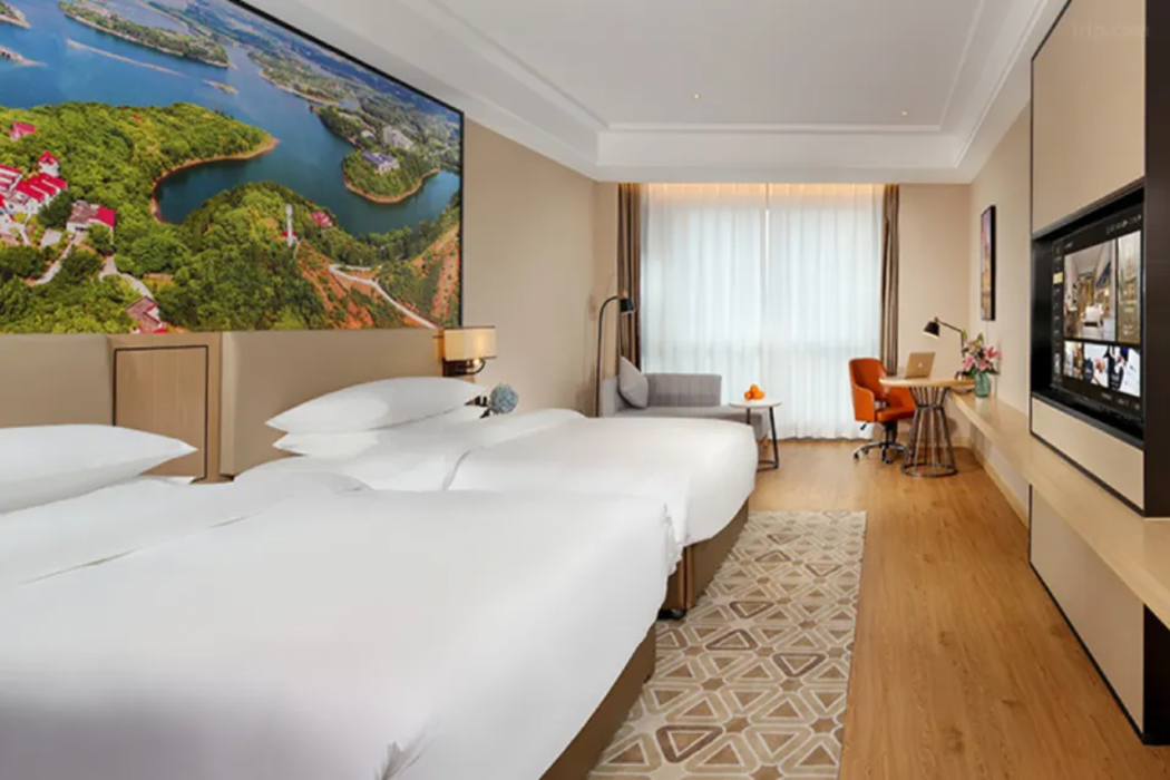 Vienna International Hotel (Chengdu Longquan Automobile City Aviation Academy Branch) 15/45