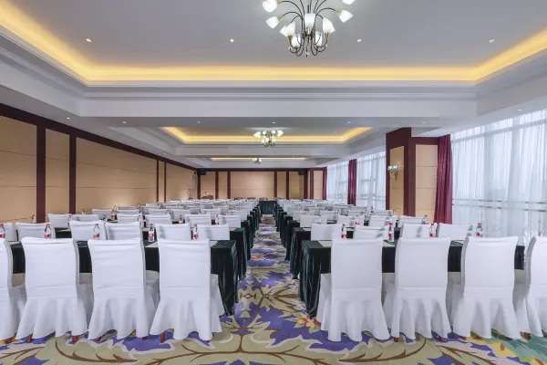 Vienna International Hotel (Chengdu Pidu Bailun Plaza) 46/71