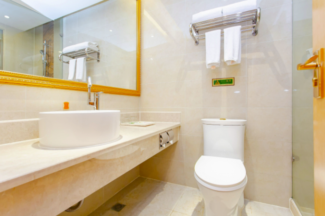 Vienna Hotel (Chengdu Dafeng Metro Station) 33/46