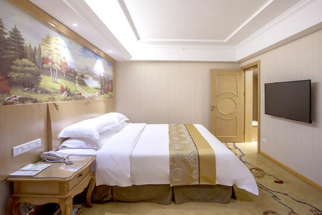 Vienna Hotel (Chengdu Dafeng Metro Station) 21/46