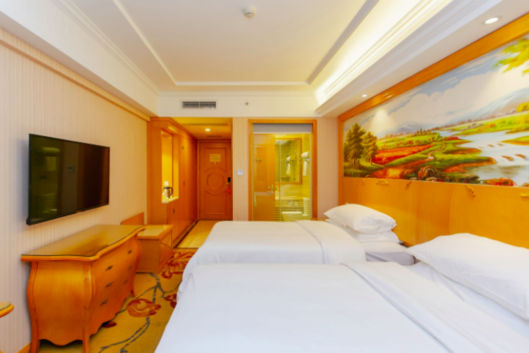 Vienna Hotel (Chengdu Dafeng Metro Station) 20/46