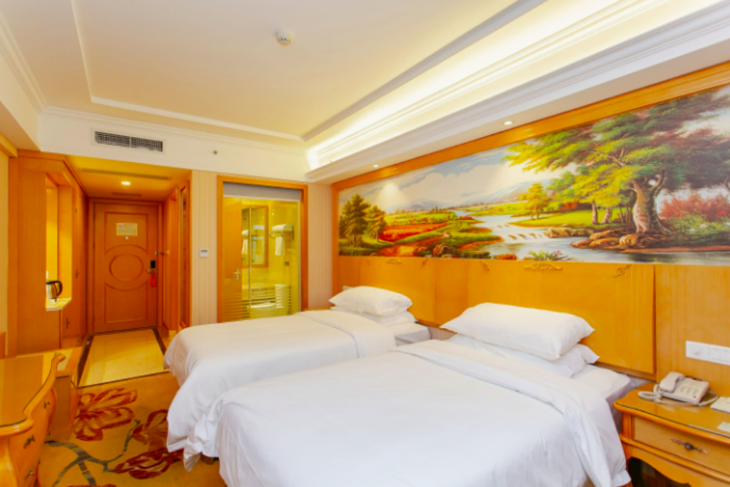 Vienna Hotel (Chengdu Dafeng Metro Station) 23/46