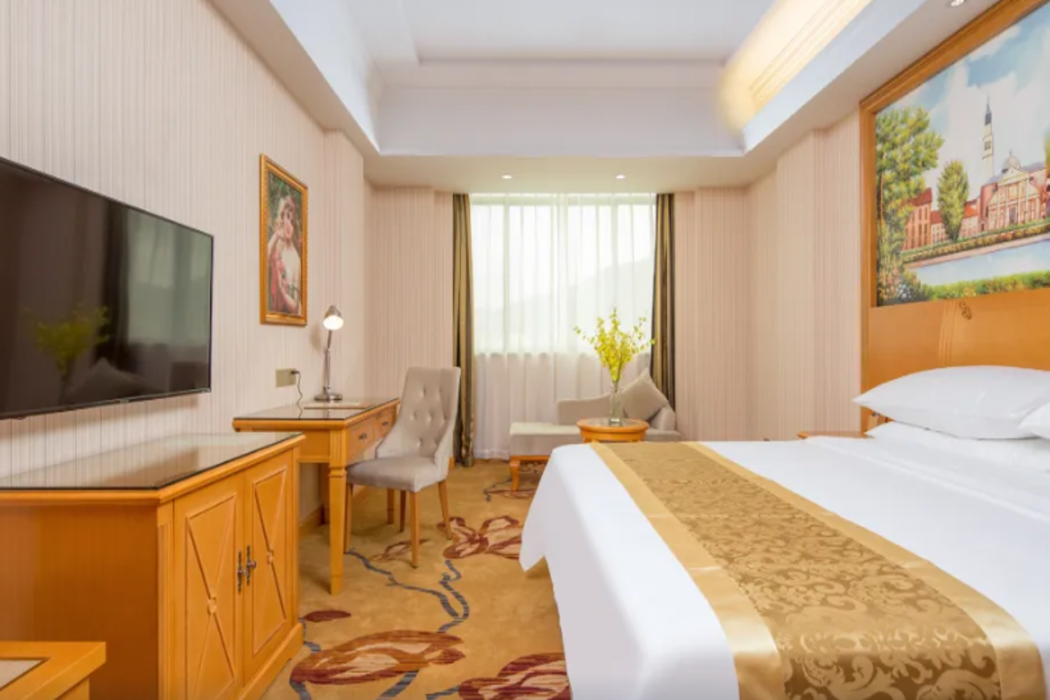 Vienna Hotel (Guangzhou Zengcheng Wanda Plaza) 16/35