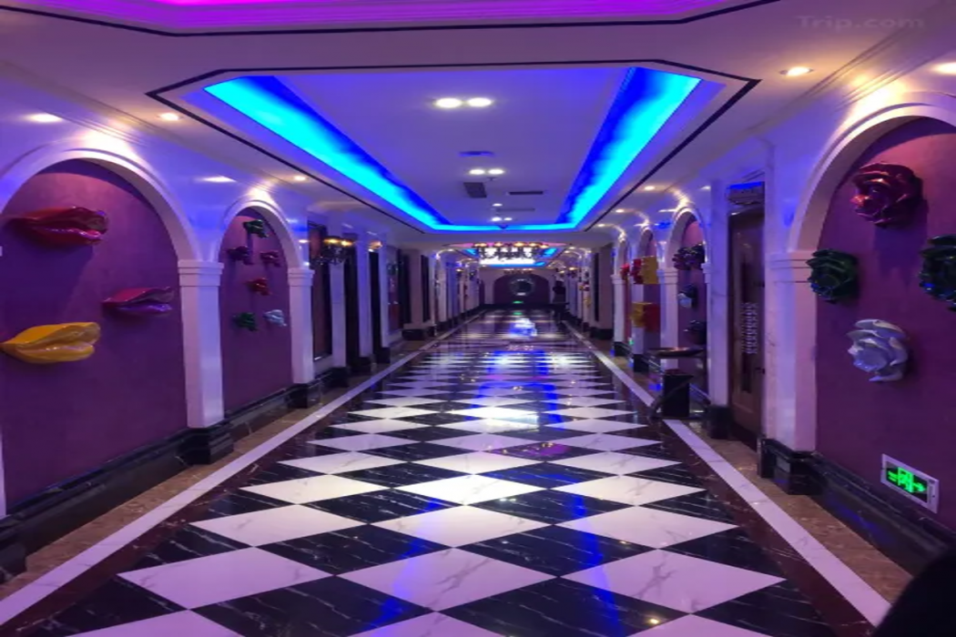 Vienna Hotel (Chongqing High-speed West Railway Station) photo3