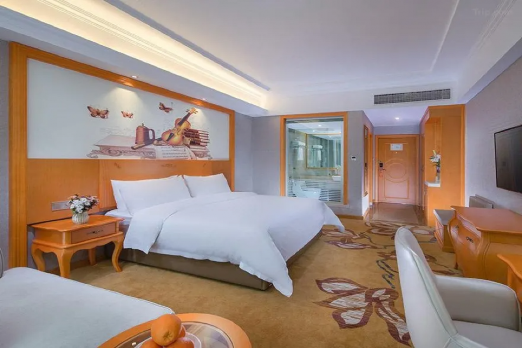 维也纳酒店重庆Qijiang Wanda广场(Vienna Hotel (Chongqing Qijiang Wanda Plaza))(Vienna Hotel (Chongqing Qijiang Wanda Plaza)) 图片3