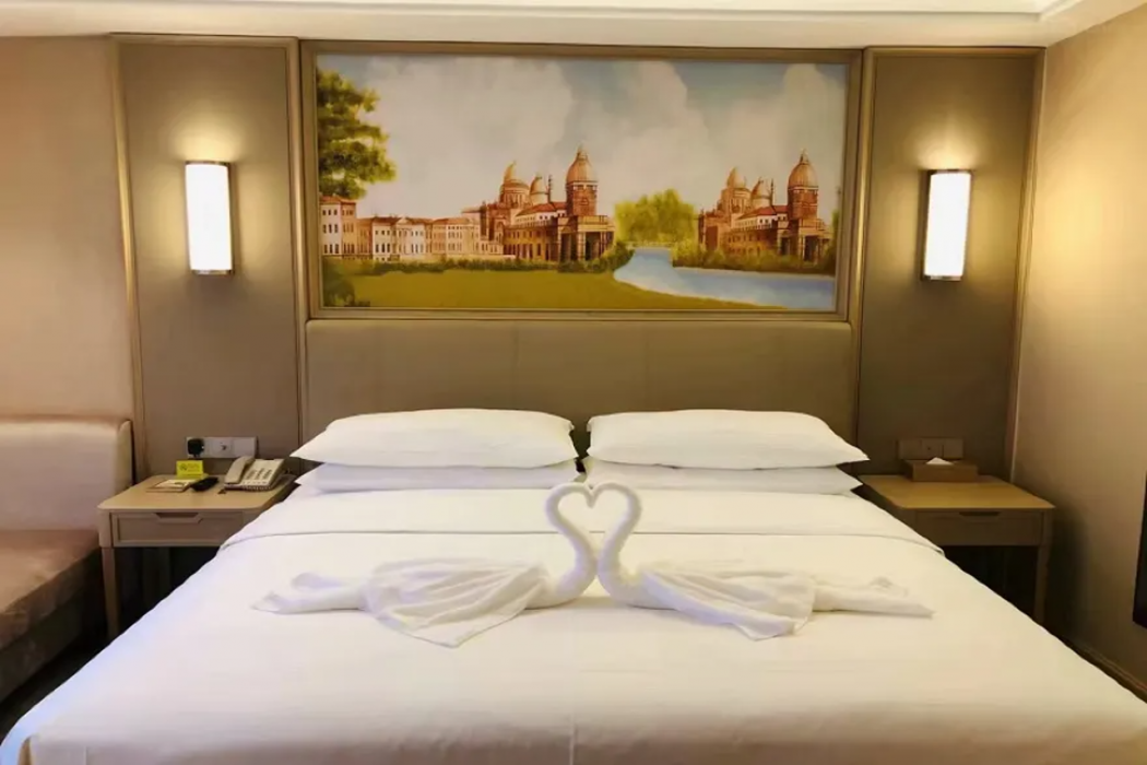 Vienna Hotel (Chongqing University Town) 16/45