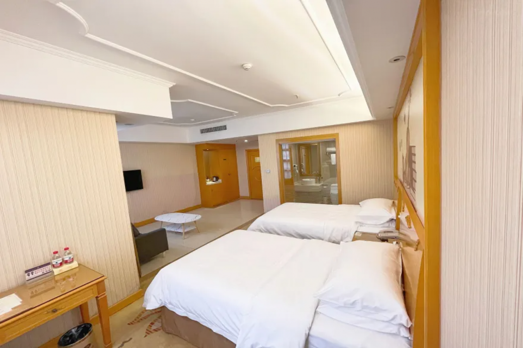 Vienna Hotel (Chongqing Wanzhou Wanda Plaza) 6/8