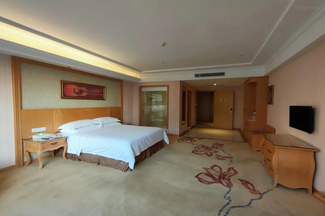 Vienna Hotel (Guangzhou Baiyun Airport Zhongluotan) 9/28