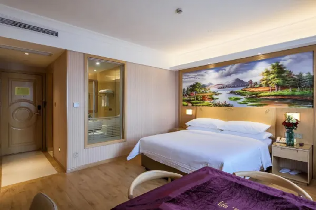 Vienna Hotel (Shanghai Hongmei South Road) 15/39