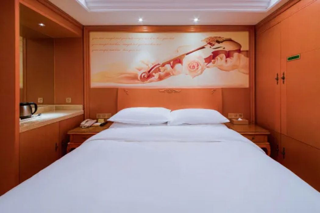 Vienna Hotel (Shanghai Gucun Park) 15/41
