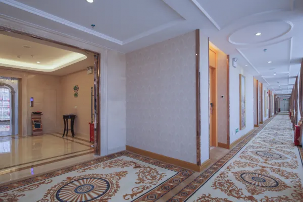 Vienna Hotel (Phoenix Hill, Fuyong, Shenzhen International Convention and Exhibition Center) 8/8
