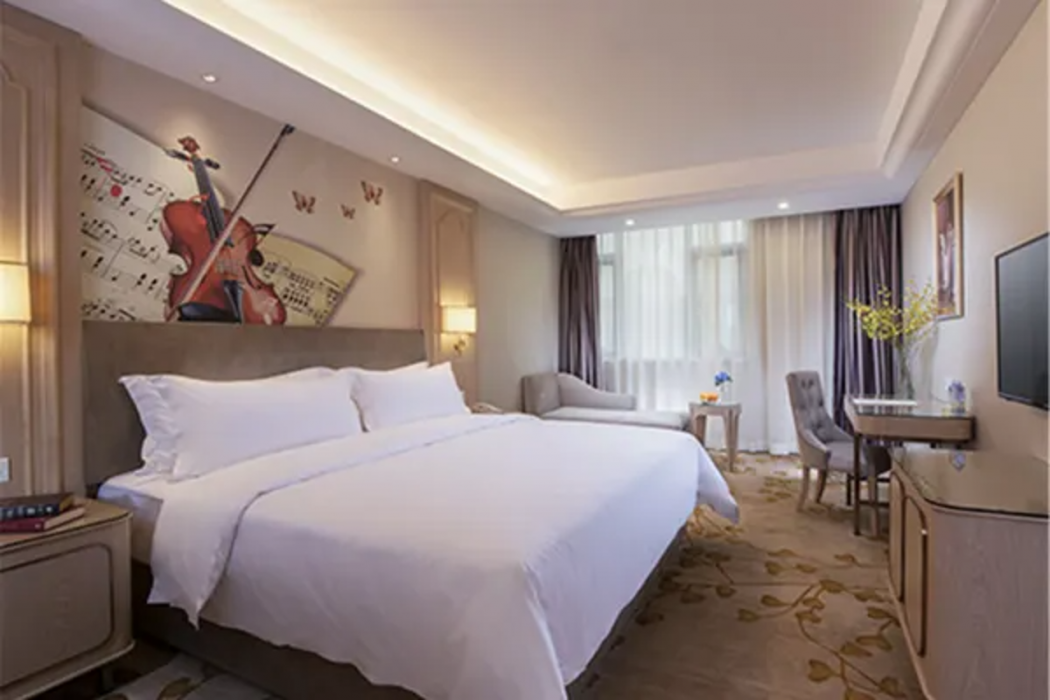 Vienna Hotel (Shenzhen Buji Metro Station) 11/37