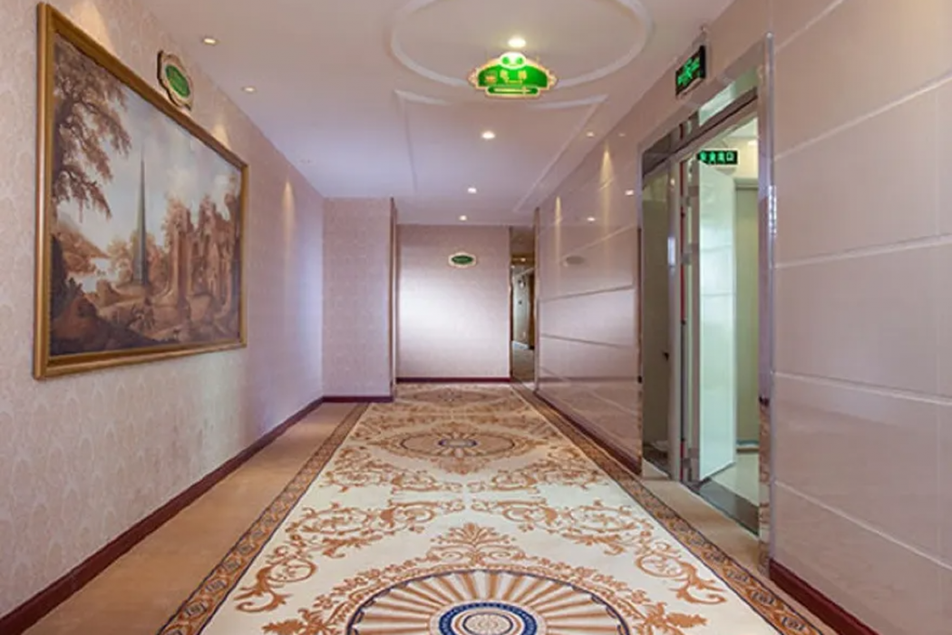 Vienna Hotel (Shenzhen Guanguang Road Foxconn) 47/58