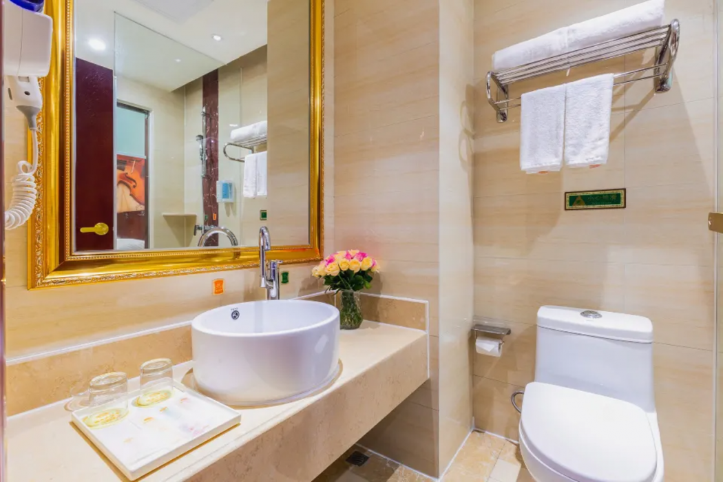 Vienna Hotel (Shenzhen Guanguang Road Foxconn) 25/58