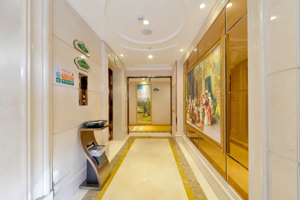 Vienna Hotel (Shenzhen Gushu Metro Station) 31/56