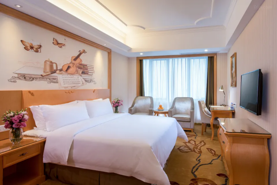 Vienna (Guangzhou South Railway Station Hotel) 6/8