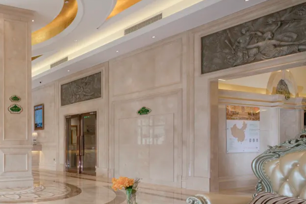 Vienna Hotel (Shenzhen Henggang Metro Station) 10/40