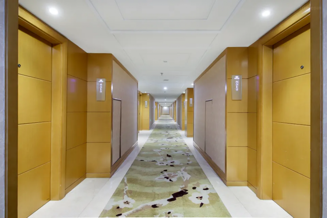 Vienna Classic Hotel (Hangzhou Linan) 27/47