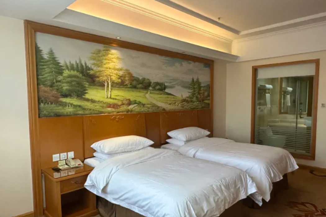 Vienna Hotel (Beijing Jiugong Metro Station) 6/8