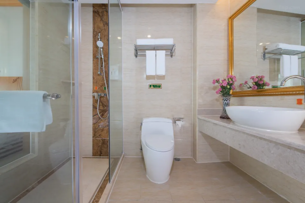 Vienna Hotel (Guangzhou Lanhe) 20/45