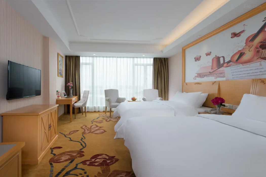 Vienna Hotel (Guangzhou Lanhe) 19/45