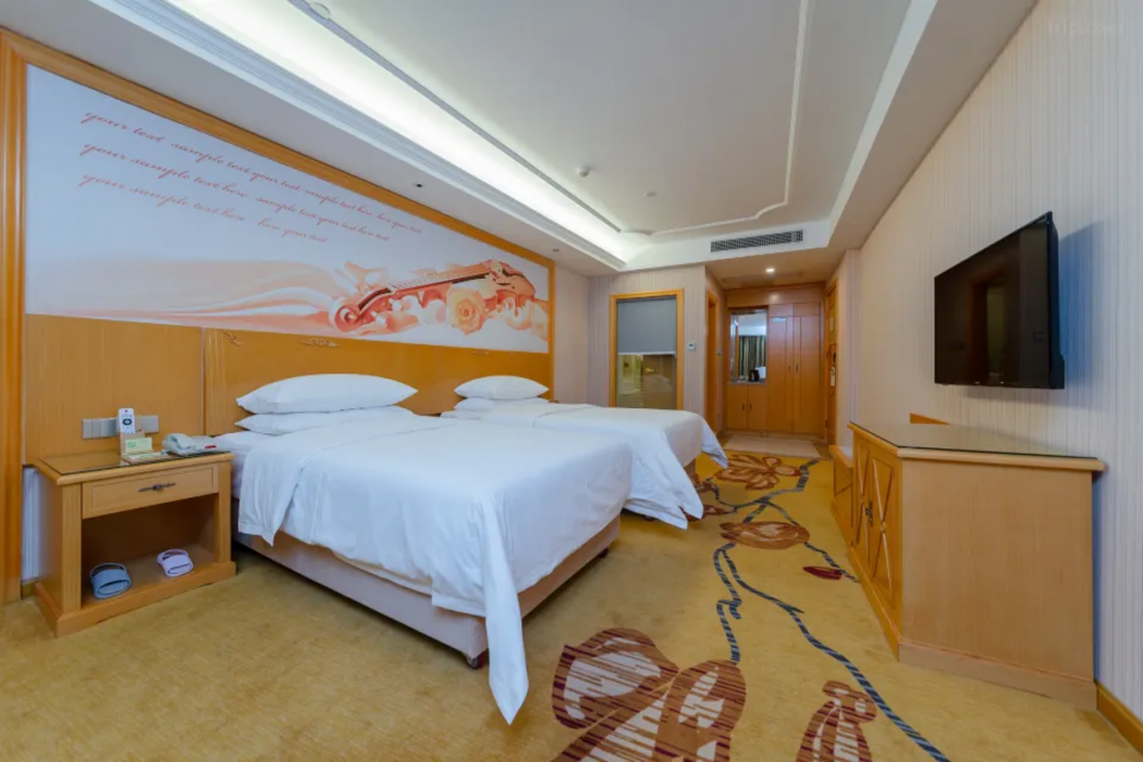 Vienna Hotel (Guangzhou Lanhe) 21/45