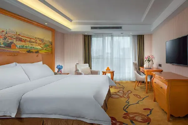 Vienna Hotel (Xi'an West Avenue Sunshine City) 28/54