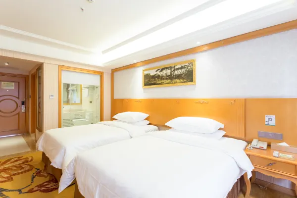 Vienna Hotel (Xi'an West Avenue Sunshine City) 26/54