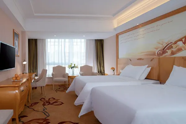 Vienna Hotel (Xi'an West Avenue Sunshine City) 23/54