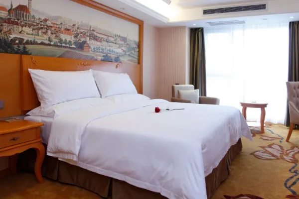 Vienna Hotel (Xi'an West Avenue Sunshine City) 25/54