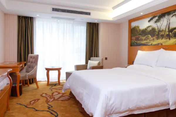 Vienna Hotel (Xi'an West Avenue Sunshine City) 24/54