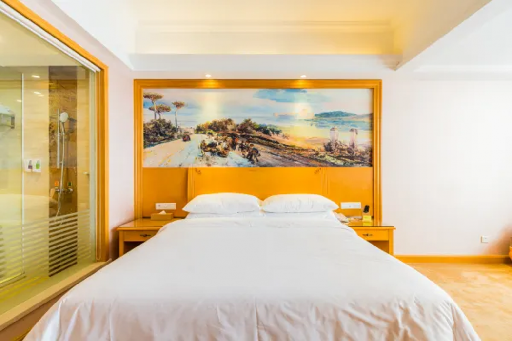 Vienna International Hotel (Foshan Nanhai Heshun) 15/37