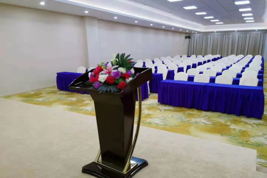 Venus International Hotel (Foshan Wanling) 6/8