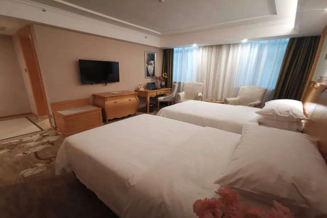 Vienna Hotel (Foshan Guidan Road) 16/37