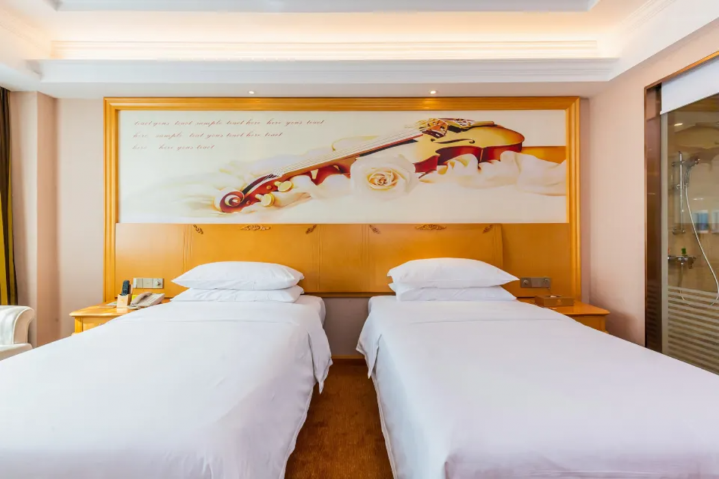 Vienna Hotel (Foshan Guidan Road) 15/37