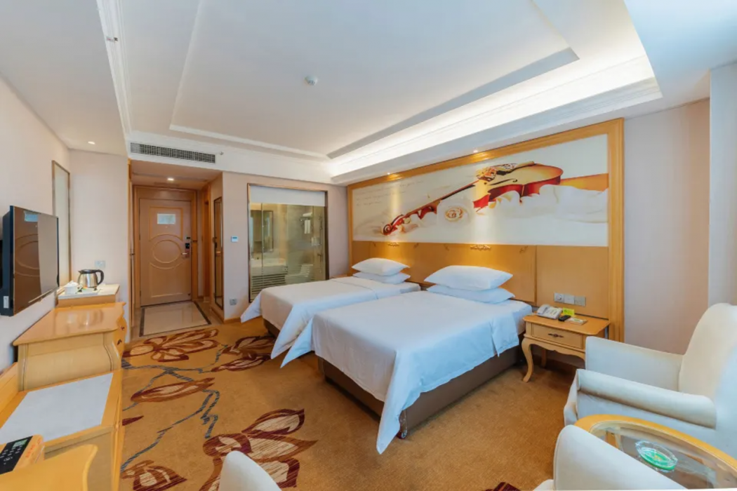 Vienna Hotel (Foshan Guidan Road) 11/37