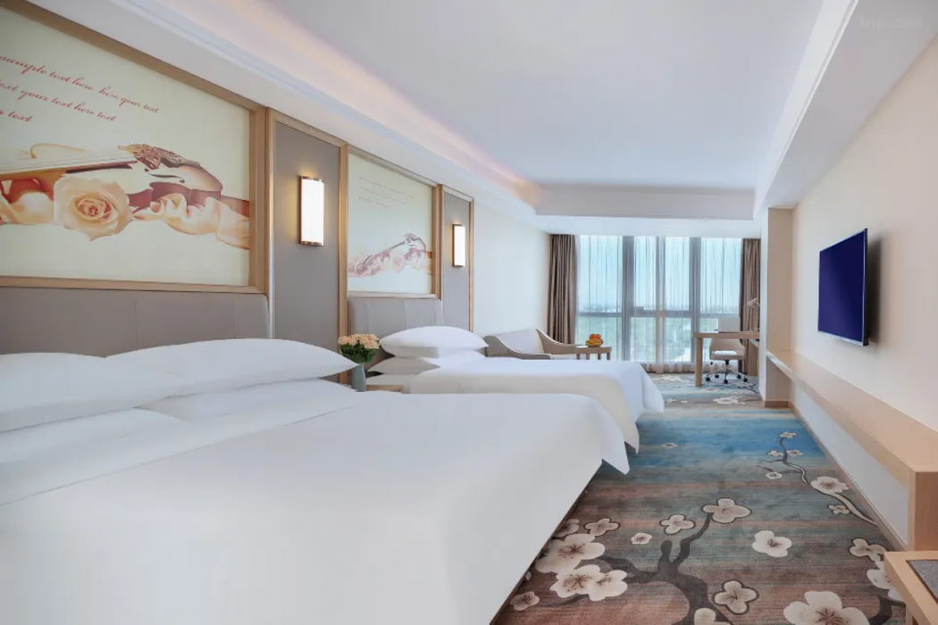 Vienna International Hotel (Qidong Jiangtian Ecological Park) 13/34