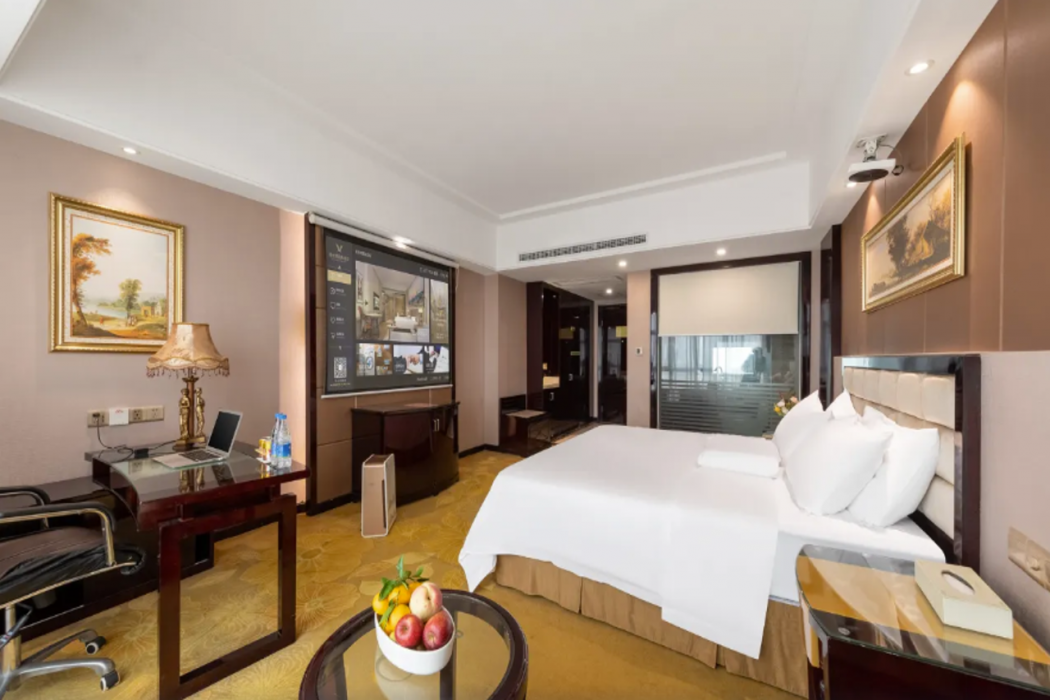 Vienna International Hotel (Zhongshan North Station) 13/57