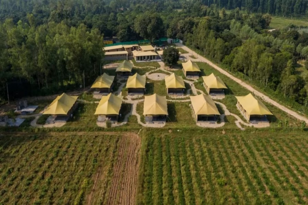 Aalia Jungle Retreat and Spa in ROORKEE