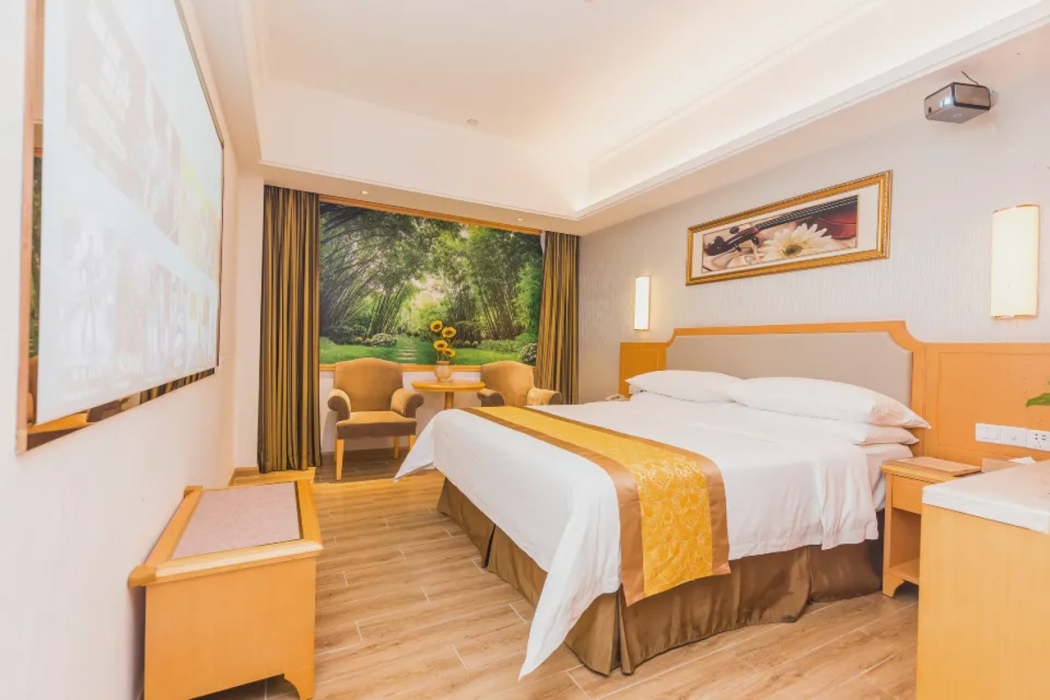 Vienna Hotel (Foshan Wenhua North Road) 18/56