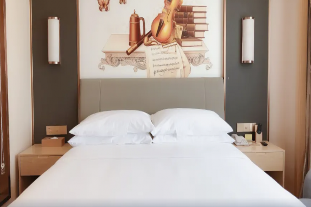 Vienna International Hotel (Pinghu Zhangjiang Science and Technology Park) 11/45