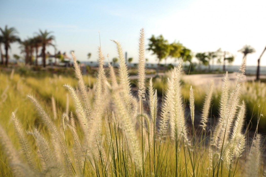 The Zen Wellness Resort 21/46