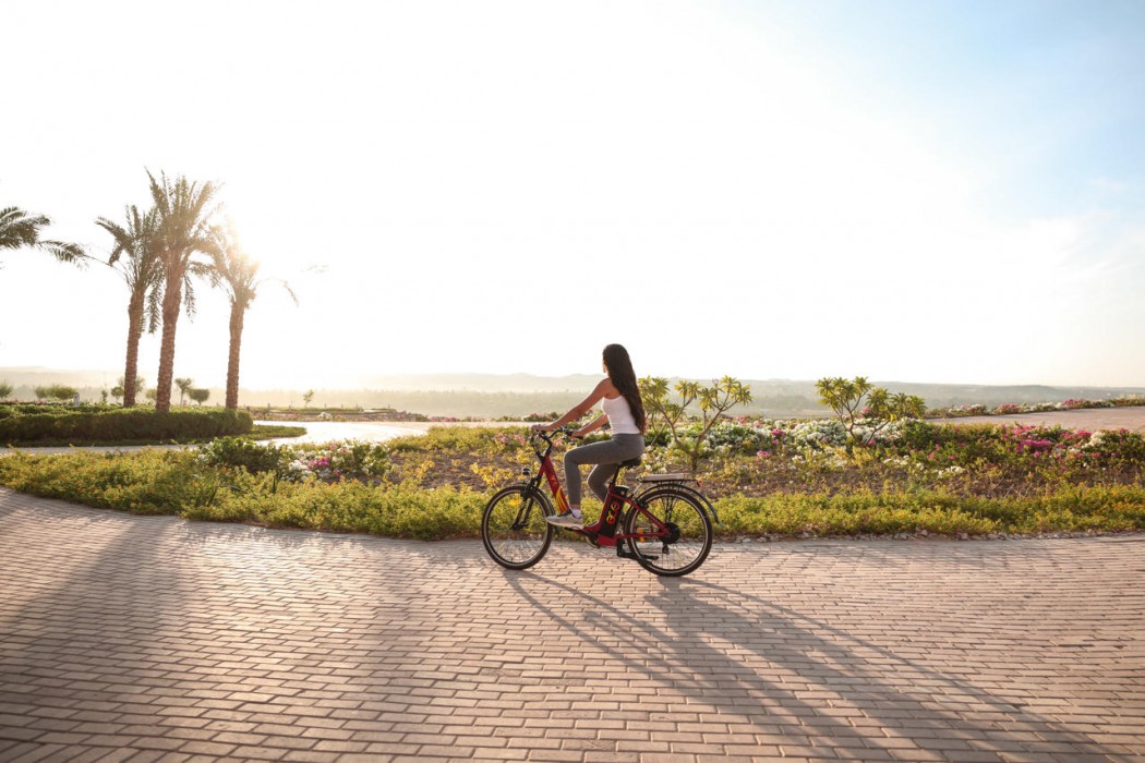 The Zen Wellness Resort 22/46
